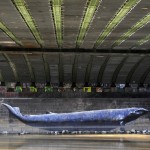 20., unter der Friedensbrücke, 2012