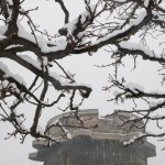 02., im Augarten, 2013