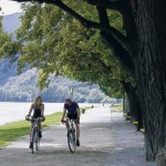 Donauradweg