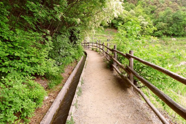 Algund · Frühling am grünen Waalweg