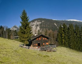 Hotel Schwarzbrunn, Alm Sommer
