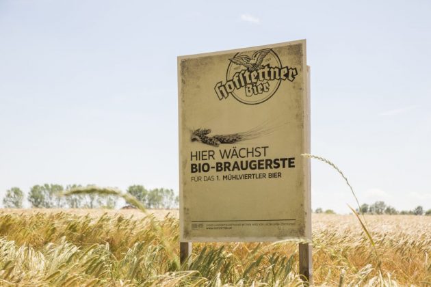 Brauerei Hofstetten · Anbau der Mühlviertler Bio Braugerste