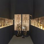 Ausstellungsansicht mit Objekten aus der Zoologischen Sammlung der Universität Wien