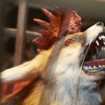Detailanischt eines Wolpertinger (Großfotzn-Alpenplärrer)