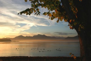 Herbst am Chiemsee