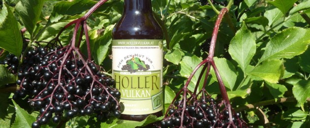 Holler Vulkan Produktfoto mit schwarzem Holunder