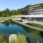 Naturschwimmteich