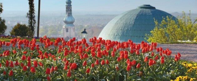 Kleine Historische Städte – Frühlingstour mit dem Auto