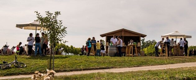 Kostbares Kamptal Langenlois Weingartenschank am Weinweg
