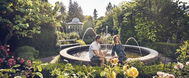 Sommeridylle im Rosengarten der Kittenberger Erlebnisgärten, Langenlois/Schiltern, Waldviertel, Niederösterreich