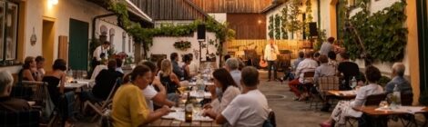 Weingut Payr, Heuriger, Carnuntum, Donau in Niederösterreich
