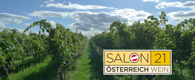 Österreich Wein Marketing GmbH (ÖWM) SALON 2021 Logo