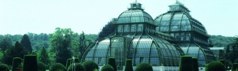 Palmenhaus Schönbrunn in neuem Glanz
