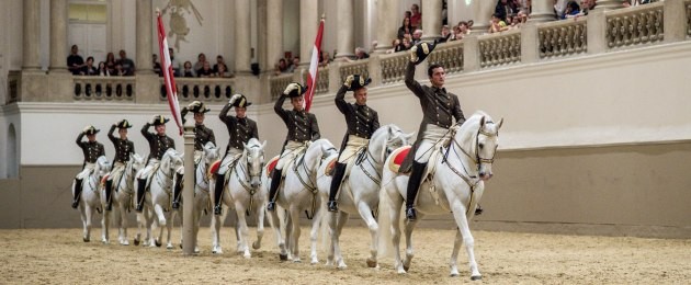 Spanische Hofreitschule Wien • Schulquadrille
