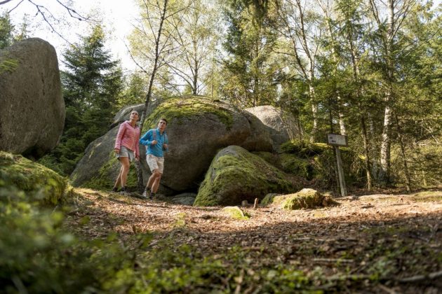 Herzstein St. Oswald, Ysper-Weitental Rundwanderweg Nr. 22, Wandern Südliches Waldviertel/NÖ