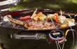 Weber Stephen · Stimmungsbild Master Touch Premium mit Igrill