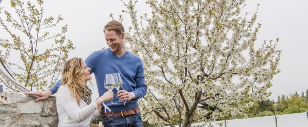 Weinfrühling Kamptal, Kremstal und Traisental 2020