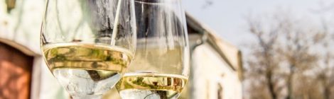 Weinfrühling Kellergasse