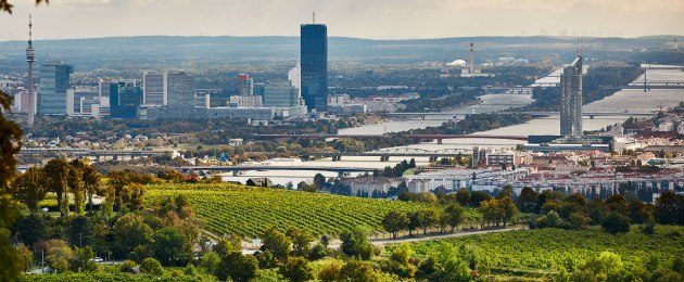 Wiener ötw Erste Lage · Langteufel am Nussberg