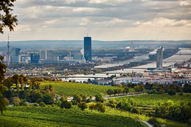 Wiener Erste Lage Langteufel am Nussberg