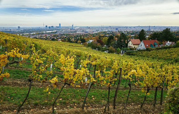 Wiener ötw Erste Lage · Ried Preussen am Nussberg