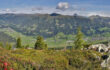 Wildkogel-Arena Neukirchen und Bramberg Wandern im Obersulzbachtal