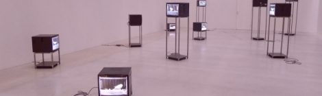 musa quire austellungsansicht