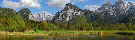 Gesaeueseeingang im Fruehling